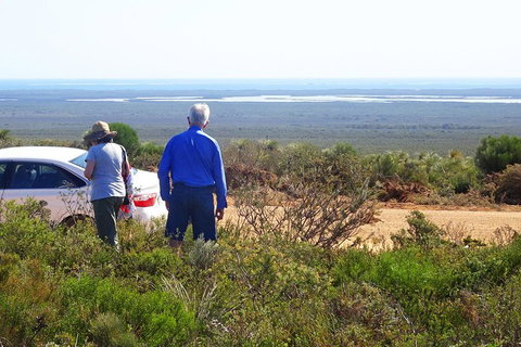 Spring Wildflower (Private) Day Tours - Accommodation Sunshine Coast 3