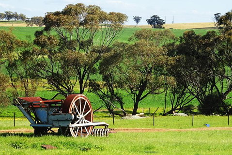 Spring Wildflower (Private) Day Tours - Accommodation Sunshine Coast 4