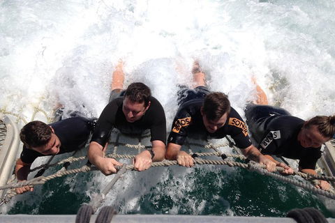 Cruise In Moreton Bay Marine Park And Moreton Island - Accommodation Sunshine Coast 0