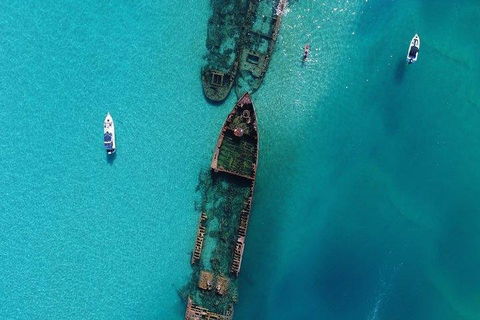 Cruise In Moreton Bay Marine Park And Moreton Island - Accommodation Sunshine Coast 1