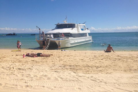 Cruise In Moreton Bay Marine Park And Moreton Island - Accommodation Sunshine Coast 4