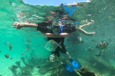 Cruise In Moreton Bay Marine Park And Moreton Island - Accommodation Sunshine Coast 5