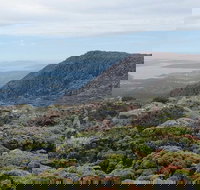 kunanyi/Mt Wellington Explorer Bus - One Way Tour - Accommodation Sunshine Coast