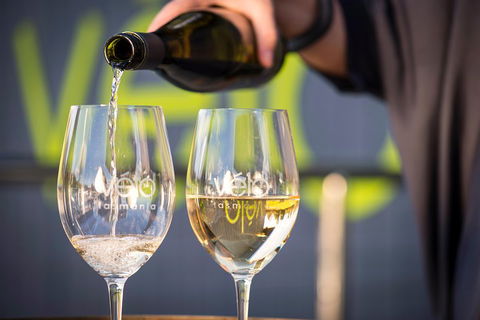 Full Day Tamar Valley Wine Tour - Accommodation Sunshine Coast 2