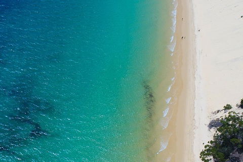 Private Tangalooma Wrecks Tour - Accommodation Sunshine Coast 1