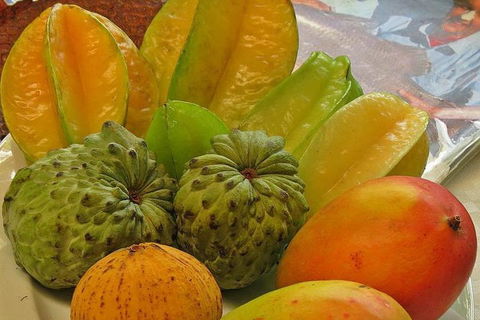 Cairns 4WD Waterfall And Rainforest Tour Including Kuranda Scenic Railway - Accommodation Sunshine Coast 4