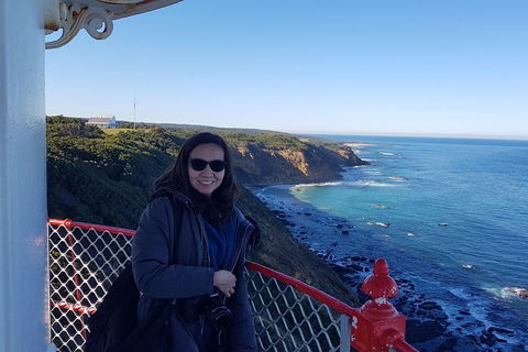 Great Ocean Road Full Day Private Experience - Accommodation Sunshine Coast 1