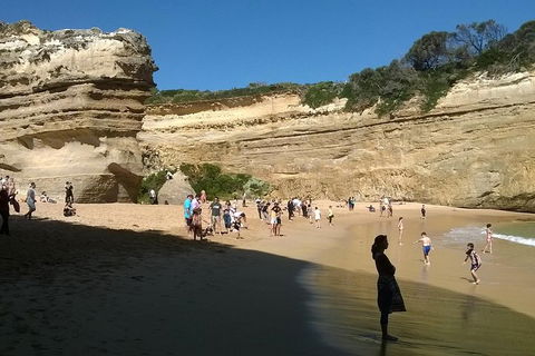 Great Ocean Road Full Day Private Experience - Accommodation Sunshine Coast 3