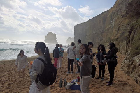 Great Ocean Road Full Day Private Experience - Accommodation Sunshine Coast 4
