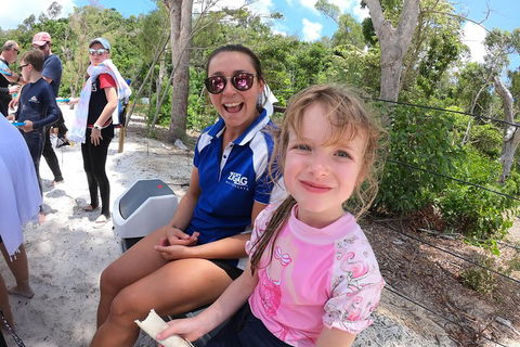 Whitehaven Beach Day Tour With Snorkel In Whitsundays Island - Accommodation Sunshine Coast 1