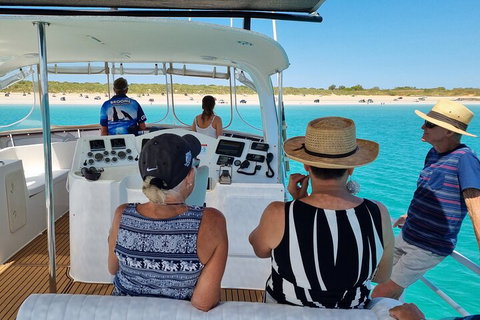 Snubfin Dolphin Eco Cruise From Broome - Accommodation Sunshine Coast 5