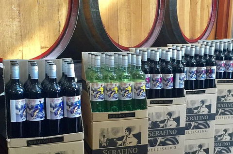 Mclaren Vale Luxury Full Day Small Group Wine Tour - Accommodation Sunshine Coast 0