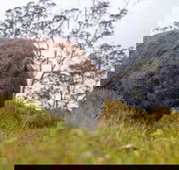 3-Day Cradle Mountain Photography Workshop - Accommodation Sunshine Coast