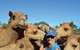 1 Hour Broome Sunset Camel Tour - thumb 3