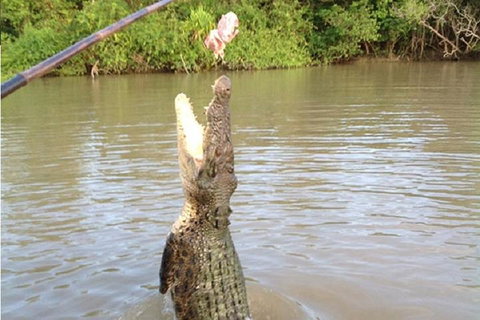 Litchfield National Park And Jumping Crocodile Cruise - Accommodation Sunshine Coast 2