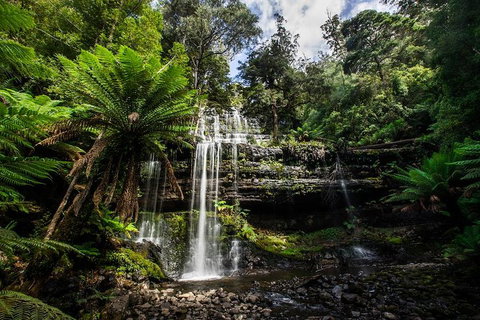 3-Day Tour To The Falls, Mountains, Lake & More Of West Coast Tasmania - Accommodation Sunshine Coast 4