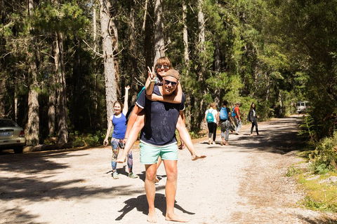 7-Day Best Of Tasmania Adventure Experience From Hobart (flexible Ticket) - Accommodation Sunshine Coast 5