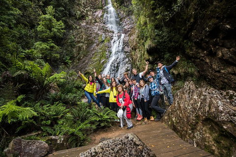 5-Day Lap Of Tasmania Tour From Hobart (flexible Ticket) - Accommodation Sunshine Coast 0