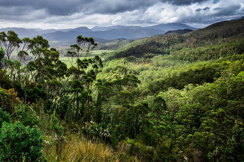 5-Day Lap Of Tasmania Tour From Hobart (flexible Ticket) - Accommodation Sunshine Coast 2