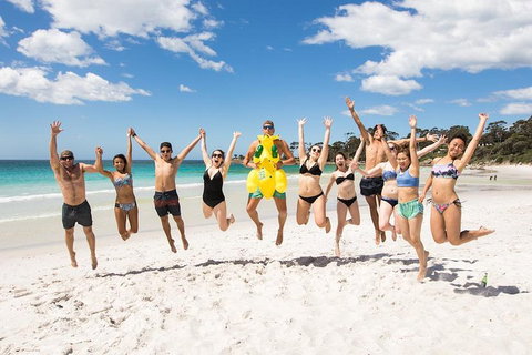 5-Day Lap Of Tasmania Tour From Hobart (flexible Ticket) - Accommodation Sunshine Coast 4