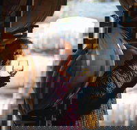 One-Way East Coaster - Accommodation Sunshine Coast