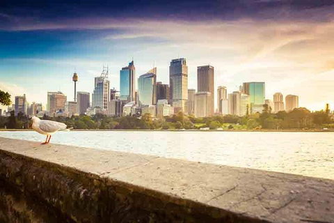 Private Sydney City And Bondi Beach Half Day Tour - Accommodation Sunshine Coast 2