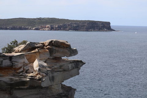 Private Sydney City And Bondi Beach Half Day Tour - Accommodation Sunshine Coast 3