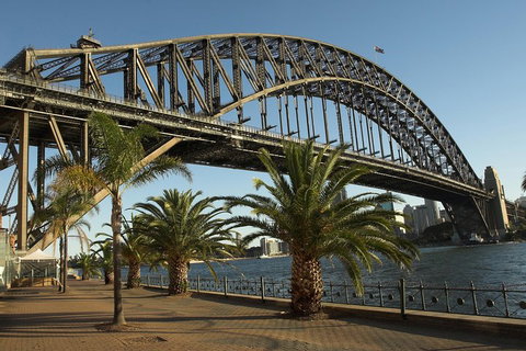Private Sydney City And Bondi Beach Half Day Tour - Accommodation Sunshine Coast 4