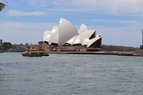 Private Sydney City And Bondi Beach Half Day Tour - Accommodation Sunshine Coast 5