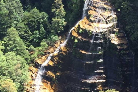 Private Blue Mountains Tour With Kangaroo And Koala Experience - Accommodation Sunshine Coast 5