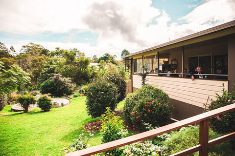 Full-day Springbrook National Park Tour From The Gold Coast - Accommodation Sunshine Coast 2