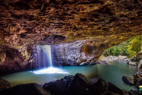 Full-day Springbrook National Park Tour From The Gold Coast - Accommodation Sunshine Coast 3