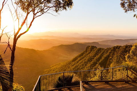 O'Reilly's & Lamington National Park Incl. Alpaca Farm + Vineyard - Accommodation Sunshine Coast 0