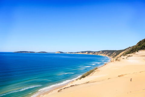 Kayak With Dolphins And 4WD Great Beach Drive Day Trip From Noosa - Accommodation Sunshine Coast 0