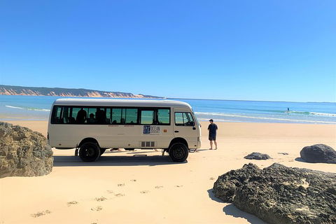 Kayak With Dolphins And 4WD Great Beach Drive Day Trip From Noosa - Accommodation Sunshine Coast 4