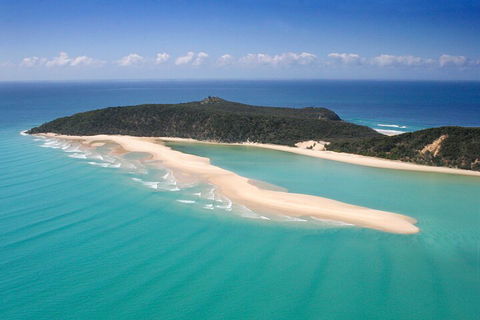 Kayak With Dolphins And 4WD Great Beach Drive Day Trip From Noosa - Accommodation Sunshine Coast 5