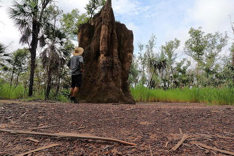 ETHICAL ADVENTURES - Litchfield Region, Max 10 Guests - Accommodation Sunshine Coast 3