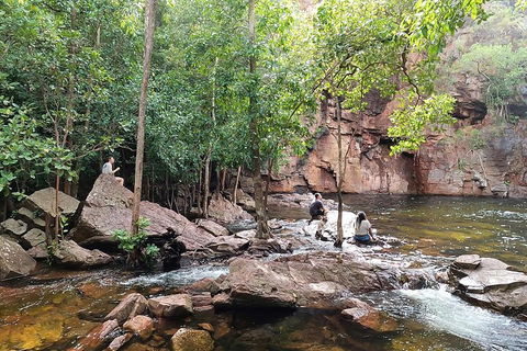 ETHICAL ADVENTURES - Litchfield Region, Max 10 Guests - Accommodation Sunshine Coast 4