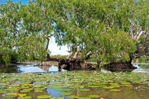 Ethical Adventures - Best In The WET - Litchfield / Kakadu 3 Day- Max 10 Guests - Accommodation Sunshine Coast 1