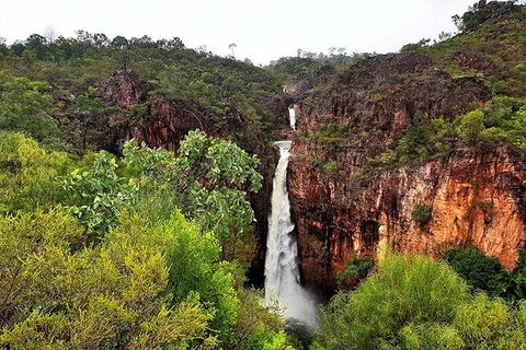 Ethical Adventures - Best In The WET - Litchfield / Kakadu 3 Day- Max 10 Guests - Accommodation Sunshine Coast 2