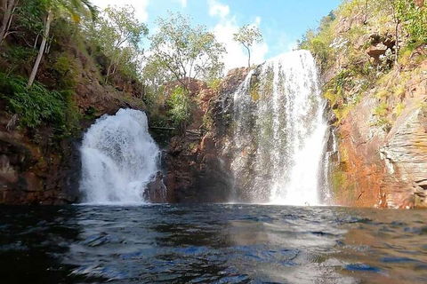 Ethical Adventures - Best In The WET - Litchfield / Kakadu 3 Day- Max 10 Guests - Accommodation Sunshine Coast 5