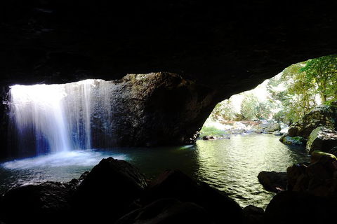 Rainforest & Waterfalls Extravaganza - Accommodation Sunshine Coast 0