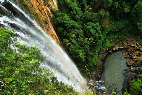 Rainforest & Waterfalls Extravaganza - Accommodation Sunshine Coast 1