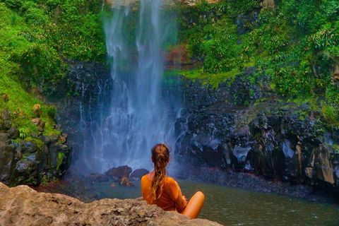 Rainforest & Waterfalls Extravaganza - Accommodation Sunshine Coast 2