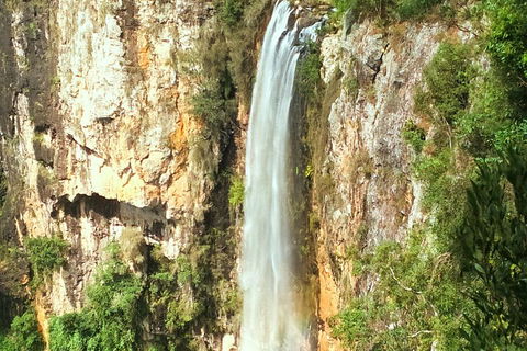 Rainforest & Waterfalls Extravaganza - Accommodation Sunshine Coast 3