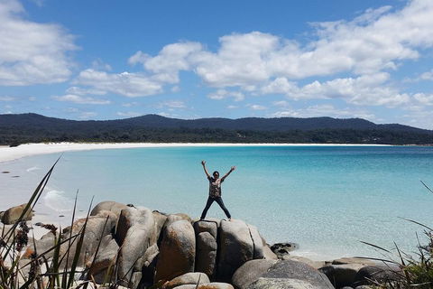 Tasmania 4 Day East Coast + Launceston - Accommodation Sunshine Coast 1
