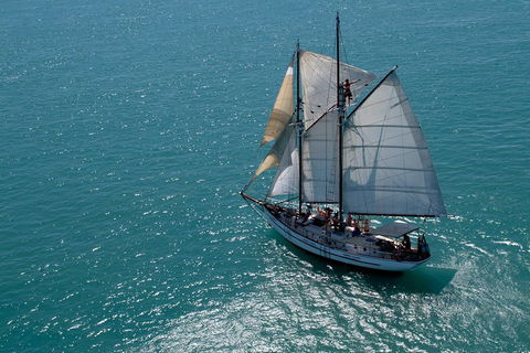Whitehaven Beach Sailing And Snorkeling Cruise - Accommodation Sunshine Coast 1