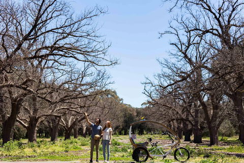 Adelaide 90-Minute Pedicab Tour: Scenic Green & River Experience - Accommodation Sunshine Coast 1