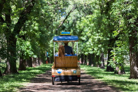Adelaide 90-Minute Pedicab Tour: Scenic Green & River Experience - Accommodation Sunshine Coast 2