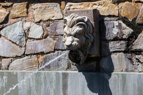 Adelaide 90-Minute Pedicab Tour: Scenic Green & River Experience - Accommodation Sunshine Coast 3